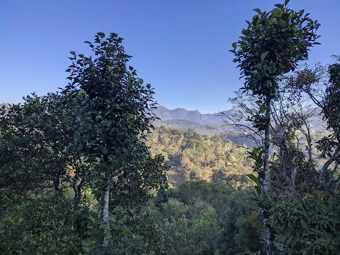 Blanc Villa Munnar India